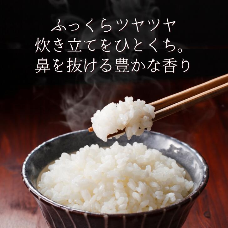 父の日 ギフト 米 2kg チャック コシヒカリ 令和5年 新潟 コシヒカリ 送料無料 (本州四国のみ) コシヒカリ 米 お試し 受注精米 農家直送 ギフト 新潟 白米 贈答用 米 こしひかり コメ 新潟県産 減農薬 kh r4 r4s 2n 50y 60y sl gf ssss 3