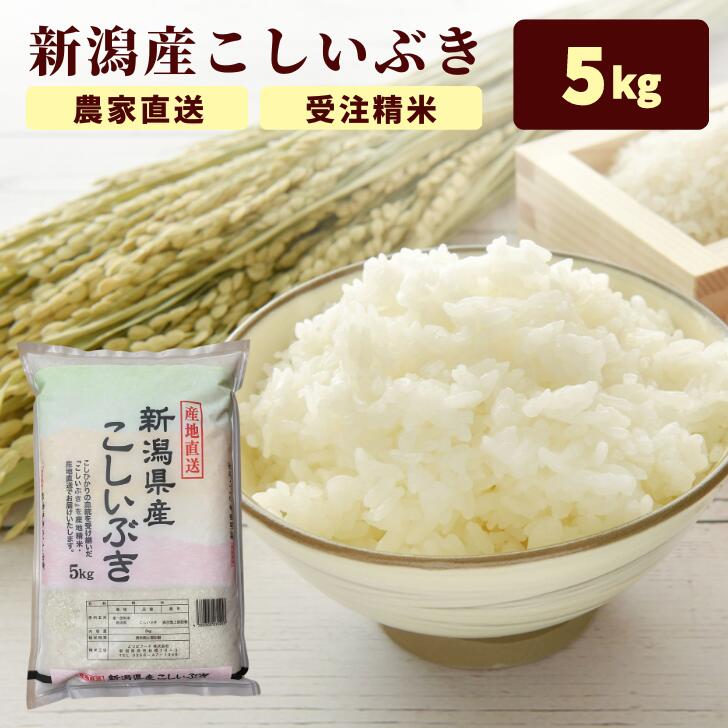 米 令和4年 新潟 米 5kg 送料無料 (本州四国のみ) 贈答用 米 こしいぶき 5kg 4年産 受注精米 備蓄 白米 コメ 新潟県産 グルメ 食べ物 実用的 r4 r4s 2n 3n 50y 60y sl