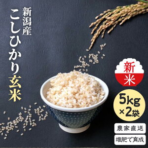 【クーポンで481円引★4299円★4日20時から】 【新米お届け中!】 新潟 コシヒカリ 玄米 10kg 5kg×2袋 新米 選べる 農家直送 送料無料 (沖縄離島を除きます) 甘い ギフト プレゼント こしひかり コメ グルメ キッチン ガーデン とみおか 新潟県産 食べ物 ハロウィン