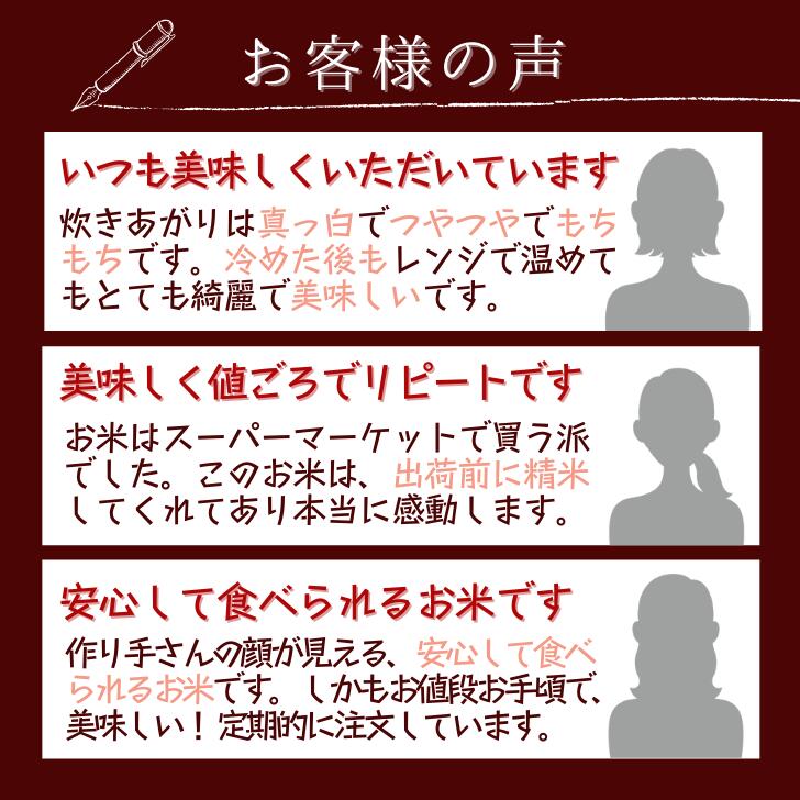 【新米】【送料無料】【新潟県産コシヒカリ新米初出荷】【9月21日20:00から26日0:59までクーポン利用で2,950円】新潟県コシヒカリ新米5kg初出荷こしひかり越後の里甘い送料無料生産者直送受注精米