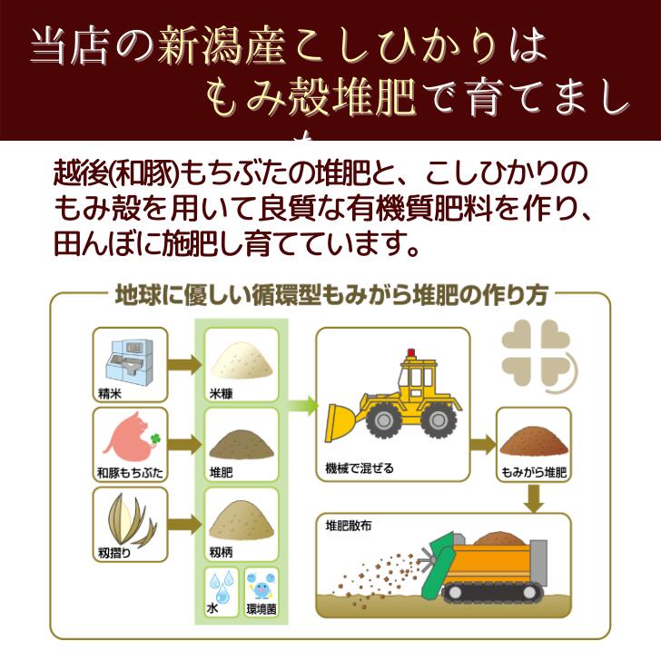 【新米】【送料無料】【新潟県産コシヒカリ新米初出荷】【9月21日20:00から26日0:59までクーポン利用で2,950円】新潟県コシヒカリ新米5kg初出荷こしひかり越後の里甘い送料無料生産者直送受注精米
