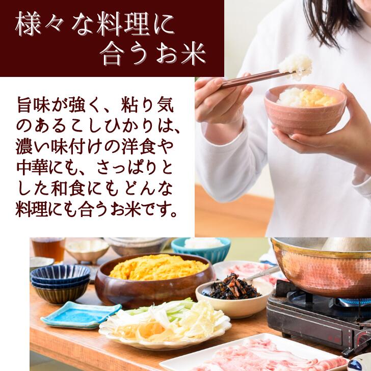 【新潟県産コシヒカリ新米初出荷】新潟県コシヒカリ新米5kg初出荷こしひかり越後の里甘い