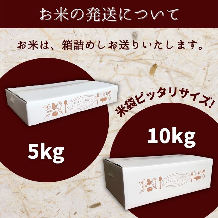【新米】【送料無料】【新潟県産コシヒカリ新米初出荷】【9月21日20:00から26日0:59までクーポン利用で2,950円】新潟県コシヒカリ新米5kg初出荷こしひかり越後の里甘い送料無料生産者直送受注精米