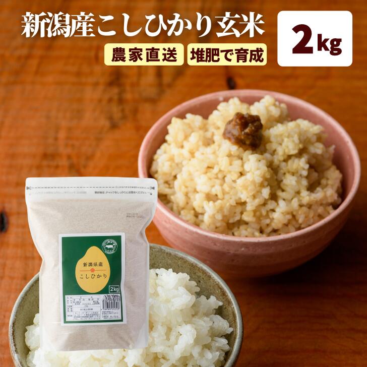 玄米 2kg チャック コシ