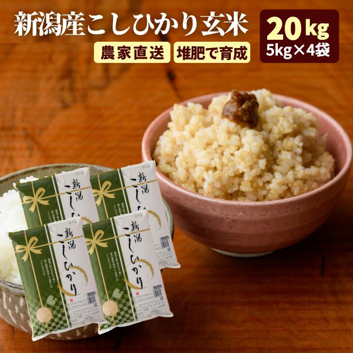 玄米 コシヒカリ 20kg 令和6年 新潟 新潟産 コシヒカリ 5kg×4袋 農家直送 送料無料 (沖縄離島を除きます) 甘い ギフト こしひかり コメ グルメ...