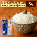 米 5kg 送料無料 (本州四国のみ) コシヒカリ 5kg 新潟 減農薬 お米 5キロ 令和5年 新潟 コシヒカリ 新潟 米 ギフト 美味しい お米 農家直送 送料無料 (本州四国のみ) 内祝い 出産 白米 香典返し kh r4 r4s 2n 3n 50y 60y gf sl ssss