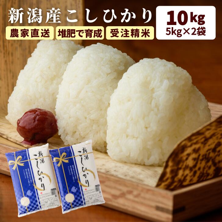 母の日 ギフト 米 10g コシヒカリ お