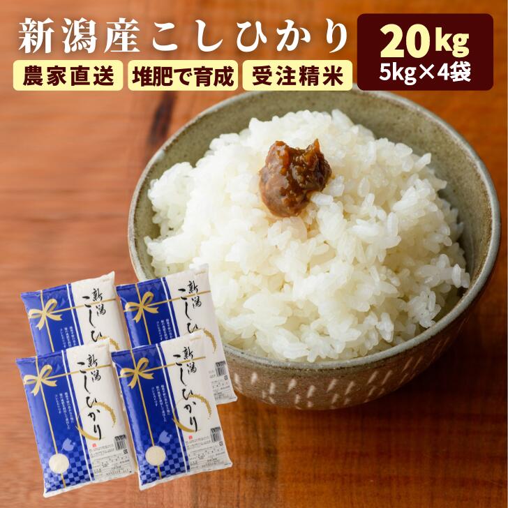 父の日 プレゼント 実用的 米 20kg 5kg×4袋 コシヒカリ 美味しい 米 減農薬 お米 20キロ 新潟 令和5年 こしひかり 新潟産 コシヒカリ 新潟 米 ギフト 贈答用 農家直送 20kg 送料無料 (沖縄離島は除く) 米 白米 コメ 新潟県産 kh r4 r4s 3n 50y 60y gf sl ssss