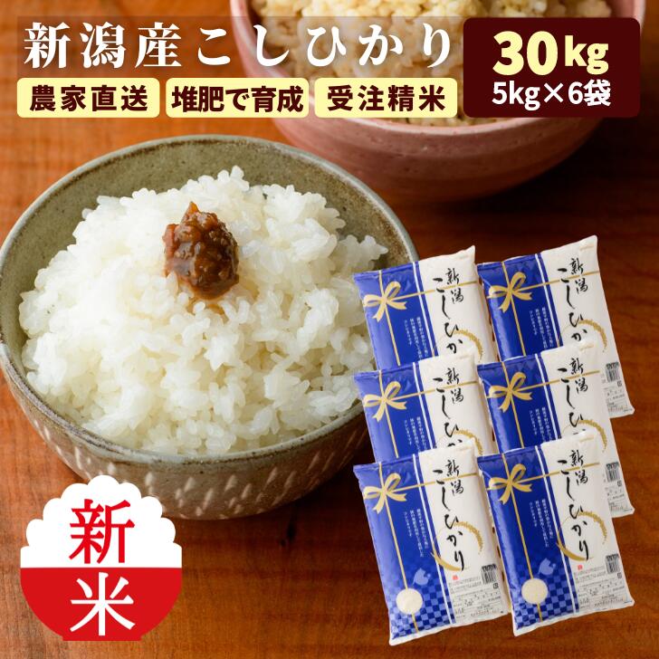 お米30キロ 農家直送 安いのおすすめ商品・口コミをみる-ミツケヨ お米30キロ 農家直送 安いのおすすめ商品・口コミをみる-ミツケヨ