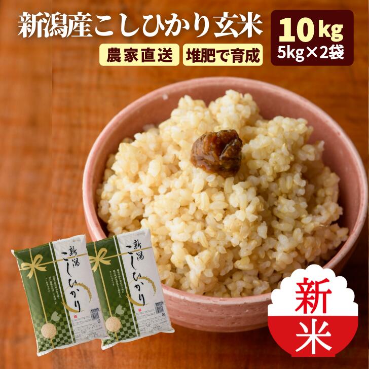 新米 令和7年 新潟 玄米 コシヒカリ 10kg 米 5kg×2袋 減農薬 農家直送 送料無料 (沖縄を除きます) 甘い こしひかり コメ キッチン ガーデン ...