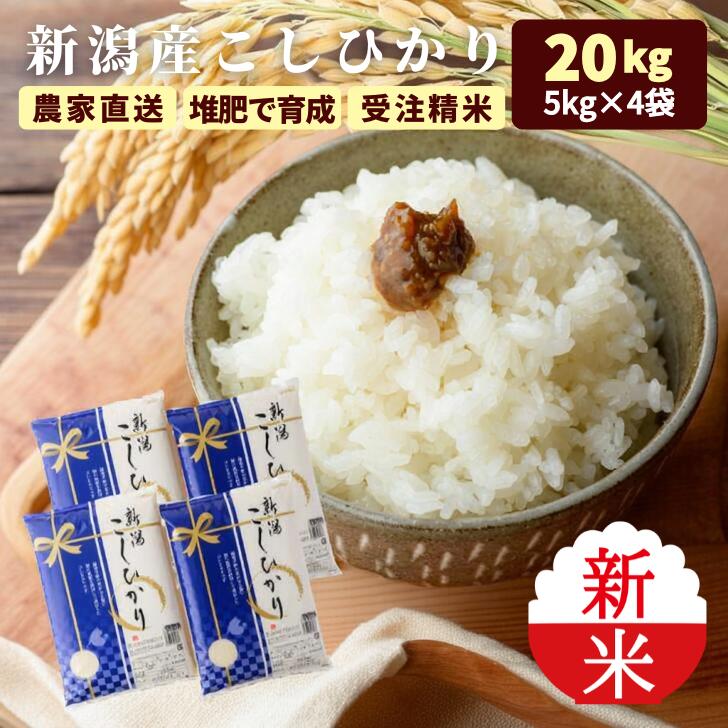 新米 令和7年 20kg 新潟 コシヒカリ 米 5kg×4袋 美味しい 米 減農薬 お米 20キロ こしひかり 新潟産 ギフト niigata 贈答用 農家直送...