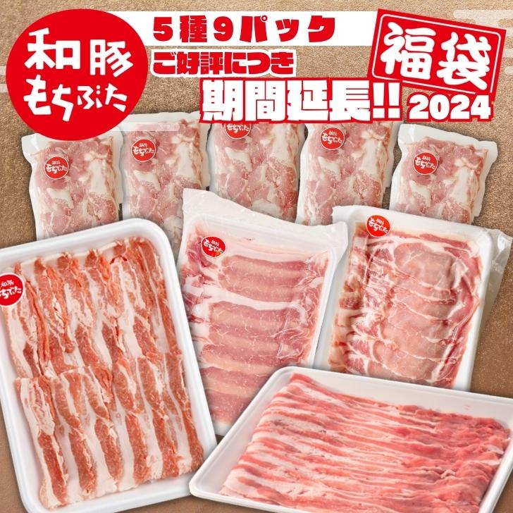 福袋 2024 豚肉 3.1kg 新潟 和豚もちぶた 豚肉 冷凍 国産 ロース バラ しゃぶしゃぶ 焼肉 切り落とし こま切れ 国産豚肉 送料無料 (本..