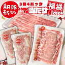 豚肉 冷凍 国産 福袋 2024 豚肉 1.1kg 新潟 和豚もちぶた ロース バラ しゃぶしゃぶ 焼肉 切り落とし こま切れ 国産豚肉 送料無料 (本州四国のみ) 生産者直送 sl ssss