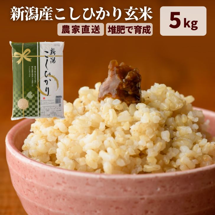 玄米 5kg コシヒカリ 令和5年 新潟 コシヒカリ 玄米 農家直送 送料無料 (本州四国のみ) ギフト 贈答用 米 甘い プレゼント 祝 こしひかり コメ グルメ キッチン ガーデン とみおか 新潟県産 減農薬 kh r4 r4s 2n 3n 50y 60y sl ssss