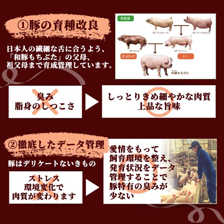 和豚もちぶたとんかつロース調理済レンチン簡単冷凍ギフトレンジトンカツ豚肉おかずお弁当惣菜お取り寄せやわらかい120g5枚肉料理祝贈答国産無添加新潟県もち豚送料無料(本州のみ)内祝卒業祝入学祝ホワイトデー
