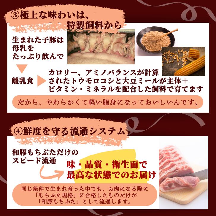 和豚もちぶたとんかつロース調理済レンチン簡単冷凍ギフトレンジトンカツ豚肉おかずお弁当惣菜お取り寄せやわらかい120g5枚肉料理祝贈答国産無添加新潟県もち豚送料無料(本州のみ)内祝卒業祝入学祝ホワイトデー