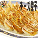 【送料無料】宇都宮餃子館 チーズ餃子(64個入り) 【栃木県・宇都宮餃子会加盟店】餃子 ぎょうざ 宇都宮餃子 健太餃子