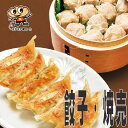 【送料無料】宇都宮餃子館 健太シ