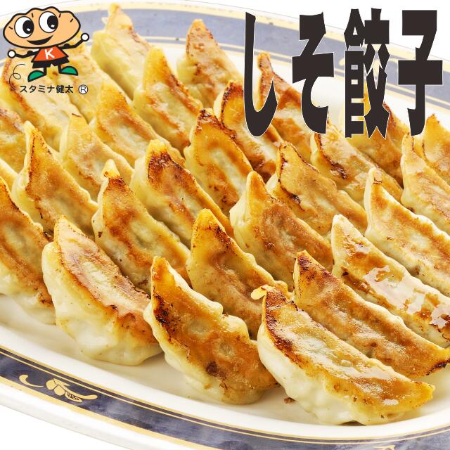 【冷凍商品】味の素 しょうがギョーザ 12個×20袋入｜ 送料無料 ギョーザ 焼き餃子 餃子 冷凍 お弁当 おかず