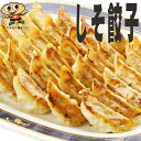 【送料無料】宇都宮餃子館 しそ餃子(しそ1.4%入り)(64個入)【栃木県・宇都宮餃子会加盟店】餃子 ぎょうざ 宇都宮餃子 健太餃子 1