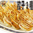 【送料無料】 宇都宮餃子館 人気3種セット(48個入)【栃木県・宇都宮餃子会加盟店】 餃子 ぎょうざ 健太餃子 エビ餃子 チーズ餃子 冷凍餃子 熨斗 のし対応