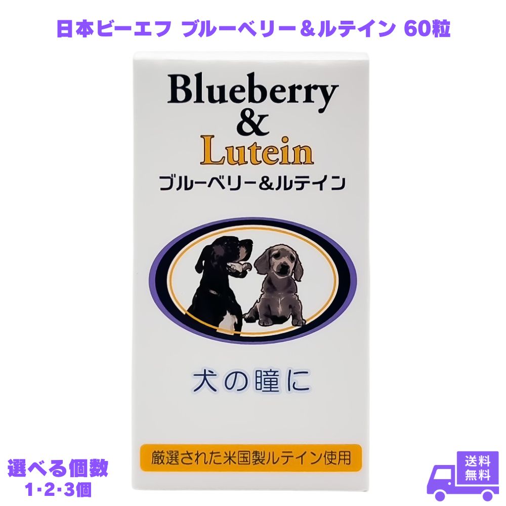 ���ܥӡ����� �֥롼�٥꡼����ƥ��� 60γ �� ���ץ���� ưʪ�ѥ��ץ� �ڥå��ѥ��ץ���� ��������� �ڥå����� �� Ʒ �ܤ�� �糰�� �����㲼 ...