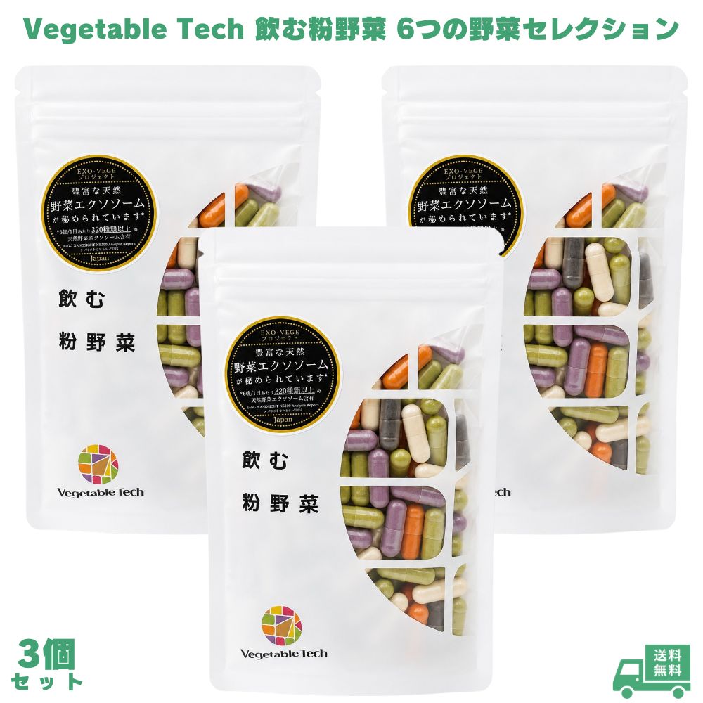 乐天商城 - 飲む粉野菜 ベジタブルテック 6つの野菜セレクション 3個 vegetable tech 野菜カプセル 野菜サプリ 粉野菜 野菜 ヴィーガン サプリメント サプリ 6種類 野菜不足 カプセル 飲みやすい 国産 日本製 女性 男性 毎日 健康管理 野菜摂取 ギフト プレゼント 贈り物 健康ギフト