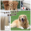 まとめ買いが お得 大切な家族 ワンちゃんを守る 無染色 タオル 旅行 トラベル ペット 浅野撚糸 エアーかおる バスタオル ボディ−タオル 魔法の撚糸 スーパ...