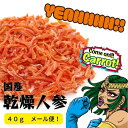 乾燥にんじん COME ON CARROT! 国産 40gエアドライ製法 ドライベジ 乾燥野菜 人参 40g ほくほくキッチン 保存食 メール便