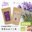【富良野】ラベンダー煎茶・ほうじ茶>>選べる2個セット<<送料無料 ティーバッグ 国産緑茶 7パック入 お取り寄せ 通販 プレゼント ギフト【産地直送】