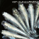 【特価】【送料無料】 マリアージュキッシングワイドフィン メダカ めだか 若魚 2ペア 成魚 稚魚 ラメ 生体 4匹 観賞魚 淡水魚 おすすめ ペット 屋外 ハウス 飼育 目高 発泡スチロール 容器 ケース 発送 medaka ぽかぽかアクア