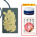 EMサーキット 電磁波対策(4)