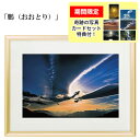 秋元隆良 奇跡の写真 「鵬(おおとり)」 【龍と鳳凰六景カードセット特典付!】