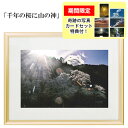 秋元隆良 奇跡の写真 「千年の桜に山の神」【龍と鳳凰六景カードセット特典付!】