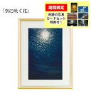 秋元隆良 奇跡の写真 「空に咲く花」【龍と鳳凰六景カードセット特典付!】