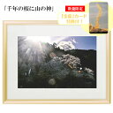 秋元隆良 奇跡の写真 「千年の桜に山の神」【金龍カード特典付!】