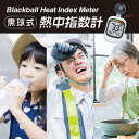 黒球式 熱中症指数計 携帯 WBGT 測定器 JIS適合 壁掛け 屋内 屋外用 熱中症指数モニター 熱中症計 黒球 グッズ WBGT指数計 時計表示付き アラーム機能 大画面 暑さ指数計 温度計 湿度計 室内 外 デジタル 学校 厚生労働省