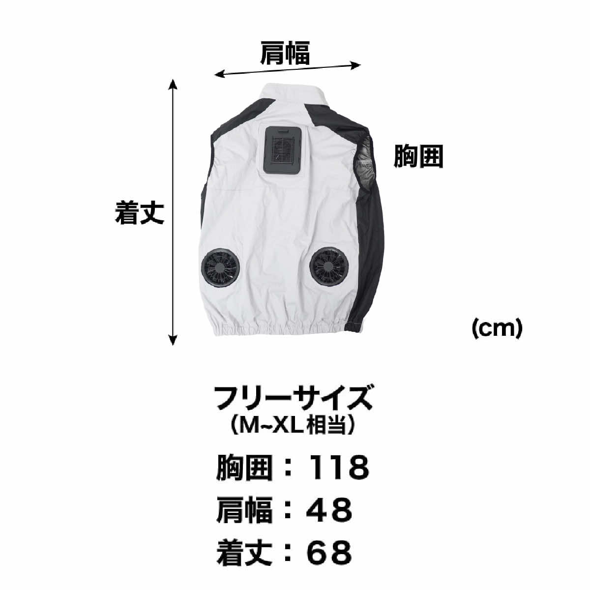 画像 2