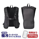暑さ対策 屋外【2023年最新作】ガツンと冷える「水冷クールベスト」WACOVECBK 水冷ベスト 水冷服 ペットボトル プロ アイスマン クーラーベスト 水冷...