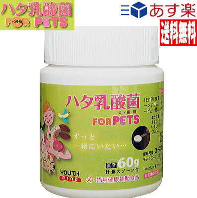 あす楽 ハタ乳酸菌 for pets ペット用 