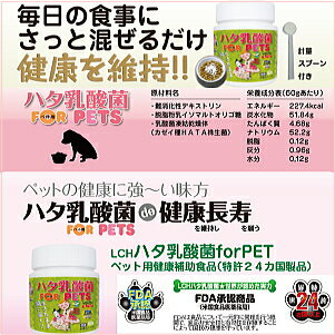 LCHハタ乳酸菌forPET　60g【犬用サプリメント/ペットサプリ/被毛向上/免疫/便秘/口内炎/サプリメント/ねこ/ネコ/supplement】【BKD_d19】