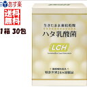 あす楽 送料無料 ハタ乳酸菌 世界特許取得商品 送料無料 1か月分 LCH ハタ 乳酸菌 美と健康を追求した！乳酸菌