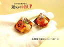 あらゆる幸福の芽が出る&ALL運気UP★お得な2個セット★富の種★幸福の種★ハッピーシード★ワイルーロの実★水晶★玄関用★出入口用★置物★風水★パワーストーン★...