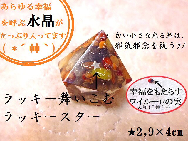 あらゆる幸福の芽が出る＆ALL運気UP★富の種★幸福の種★ハッピーシード★ワイルーロの...