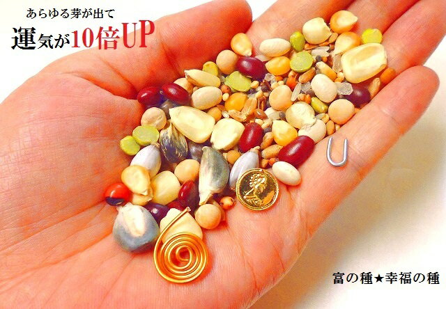 運気10倍UPセット★あらゆる幸福の芽が出るセット★富の種★幸福の種★ハッピーシード★種のみ50g★風水★パワーストーン★護符(霊符)