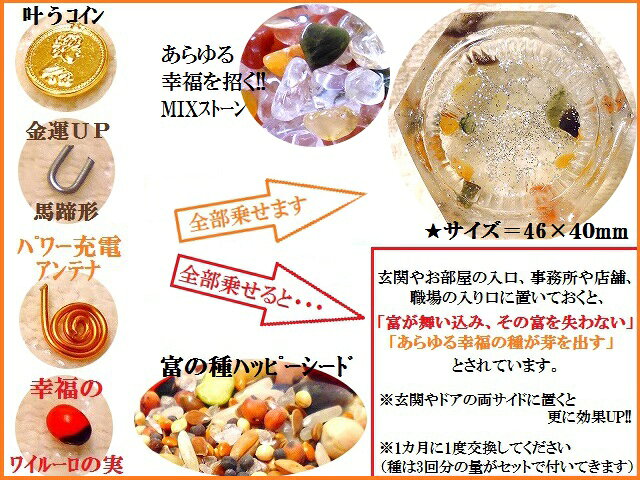 金運・仕事・恋愛★あらゆる幸福の芽が出るセット★富の種★幸福の種★ハッピーシード★...