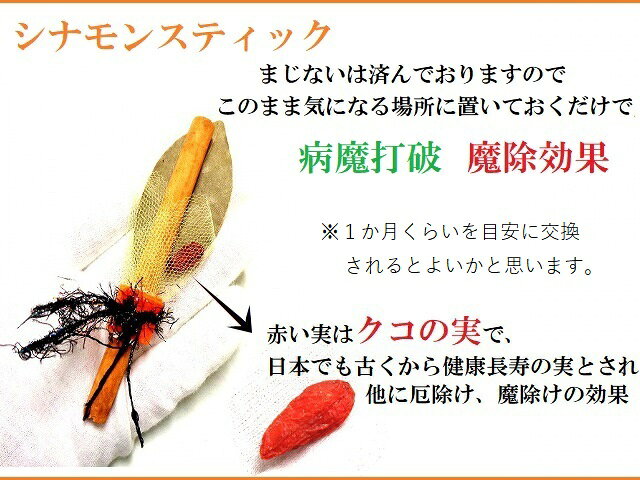 病魔退散・魔除★シナモンスティック★神聖まじない★パワーストーン★護符(霊符)(*‘∀‘)q