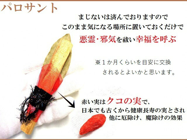 悪霊・生き霊・邪気邪念・魔・雑霊・死霊・幸福を呼ぶ★palosant・パロサント★神聖...