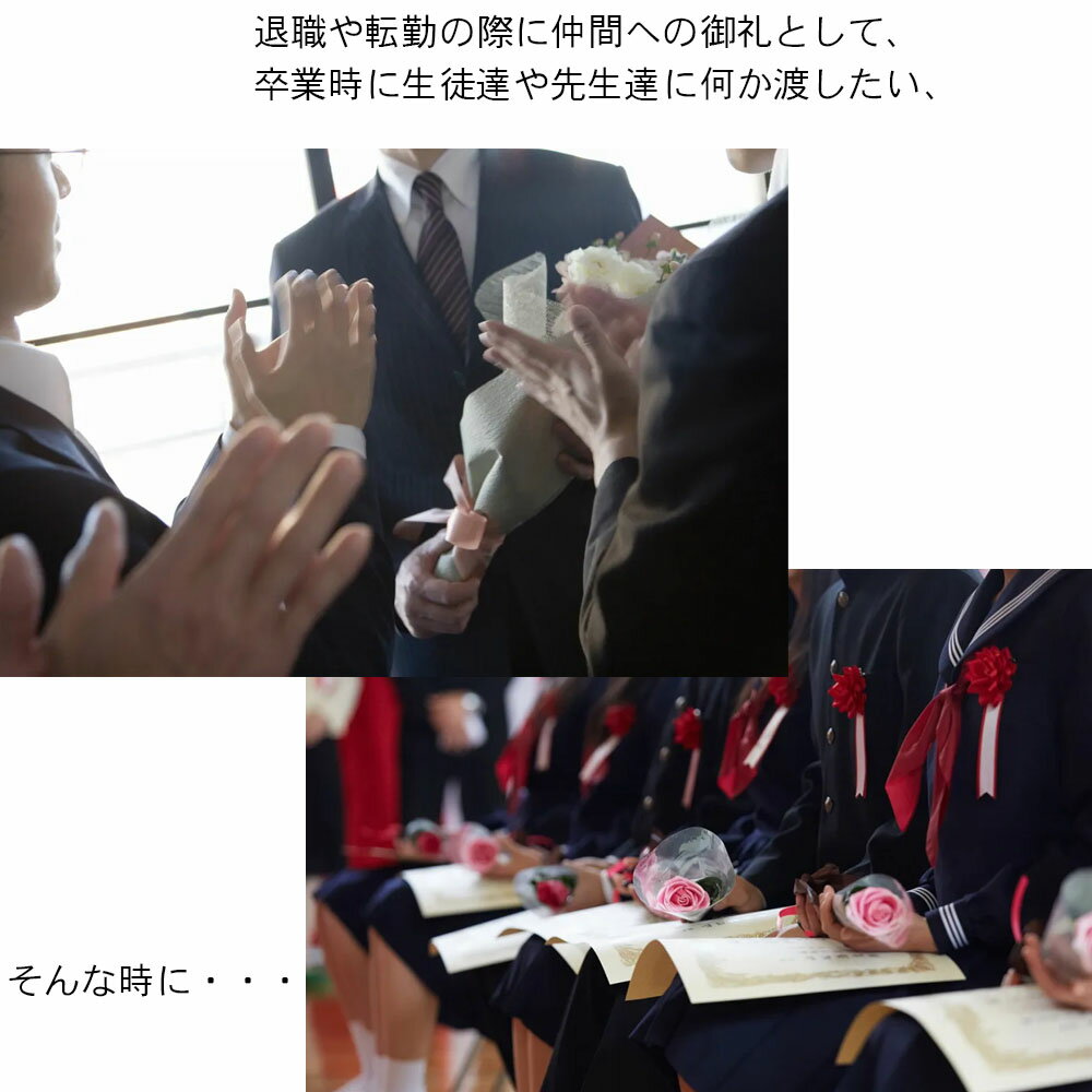 ハンカチ 汗拭き 吸水 速乾 MOKU ハンカチタオル 暑さ対策 日本製 綿100% コンテッ...
