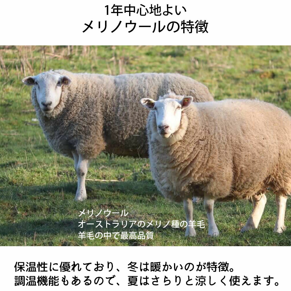 ソックス 靴下 メリノウール アキナイクツシタ...の紹介画像3